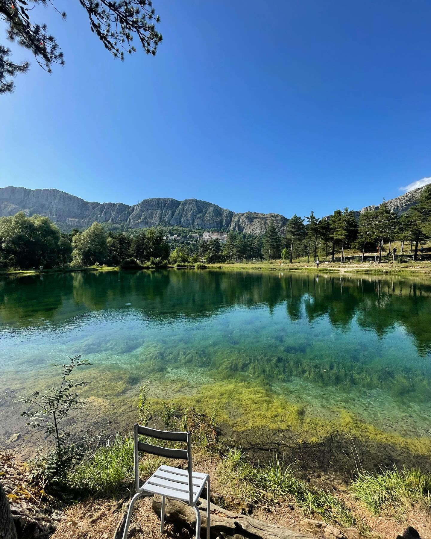 🍳 ON RECRUTE – SAISON 2026 
📍 Terre des Lacs – Saint-Auban (06)
       1er avril → 15 octobre 2026

Nous recherchons un·e Chef·fe Cuisinier·e pour rejoindre une équipe jeune, cool et motivée 😄

 Le poste :
✔️ Cuisine simple, bonne et faite avec amour
✔️ Expérience exigée en restauration & restauration collective
✔️ Formation HACCP fortement apprécié 
✔️ Travail avec groupes et collectivités
✔️ Gestion de l’économat 

🚗 Véhicule obligatoire

 Le cadre :
• Pleine nature, calme et verdure
• Tranquillité assurée, loin du stress
• Nombreuses activités sur place
• Ambiance conviviale et bienveillante

Logement possible sur place
Petit appartement avec salle de bain (loyer)
35h évolutif 42h
2 jours de repos / semaine en basse saison, 1 jour de repos / semaine du 15 juin à fin aout
💰 Salaire selon expérience
📩 CV et informations à l’adresse contact@terredeslacs.com

#recrutement #chef #saison2026 #jobnature #terredeslacs cooljob