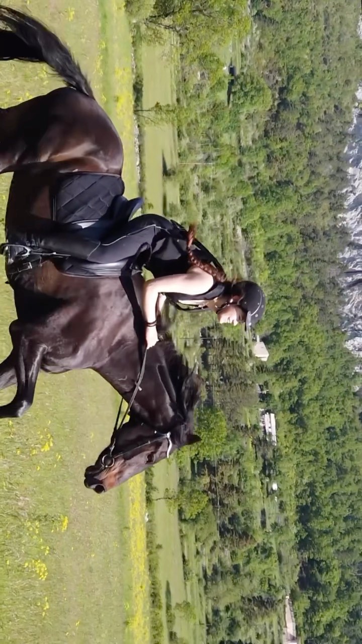 Les chevaux seront de retour pour le 1er juillet! 

Vous pouvez désormais nous contacter pour programmer vos balades estivales 🐴🌼 

Notre cavalerie est diversifiée et conviendra aussi bien à un débutant qu’à un amateur confirmé. Vous aurez le plaisir de vous promener au frais, à l’abris des grands pins, avec comme douce mélodie le son des sabots qui résonne dans la terre 🌿🌲

Plus de détails et d’informations au 
☎️ 04 93 60 40 90